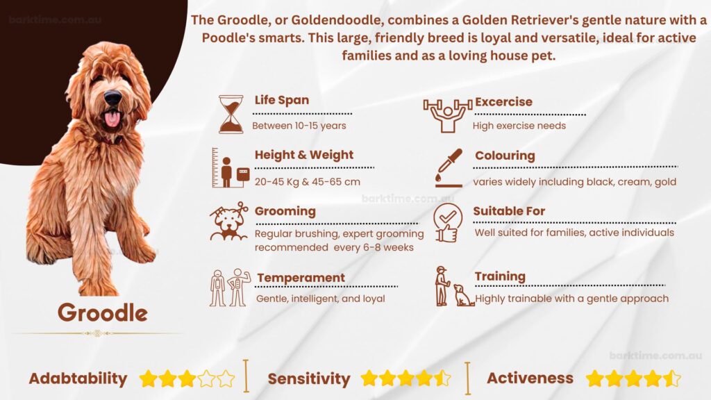 groodle-characteristics