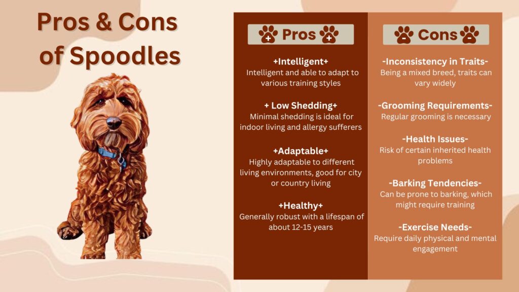 spoodle-pros-and-cons-chart